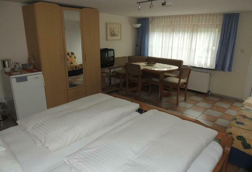 스탠다드 룸, Gästehaus Und Ferienwohnung Bächle