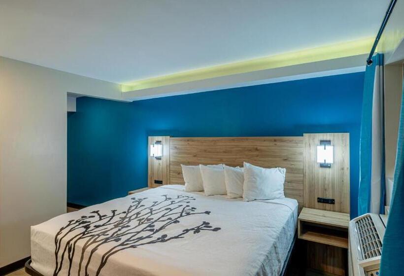 带大床的高级房间, Exclusivo Inn And Suites Near Arlington Stadium