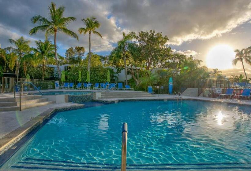 דירת שני חדרים, 2br In Key Largo W Pool And Sunset Views