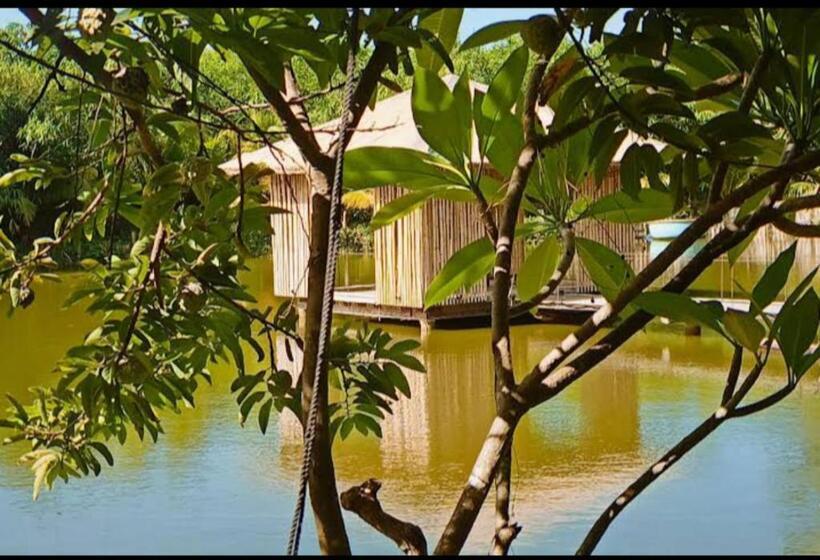 اتاق لوکس چهار تخته, Tina Lakeside   Ao đôi   Phước Hải