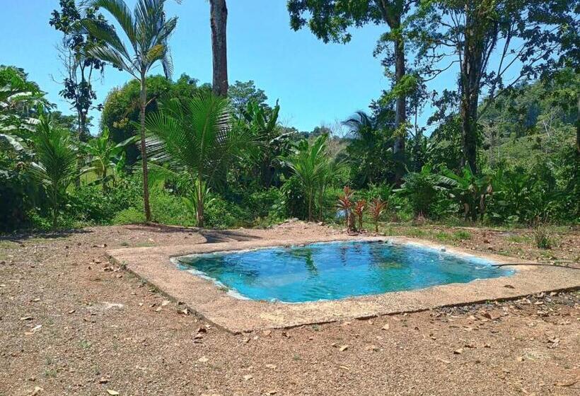 Apartamento 1 Dormitório, Casa Jungla Bahía Drake