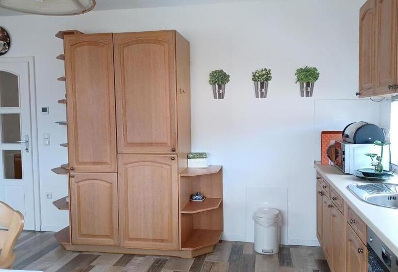Номер Стандарт, Ferienwohnung Mioritza