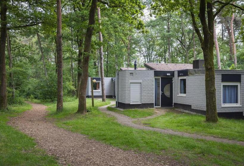 Бунгало Superior, Summio Parc De Berkenhorst