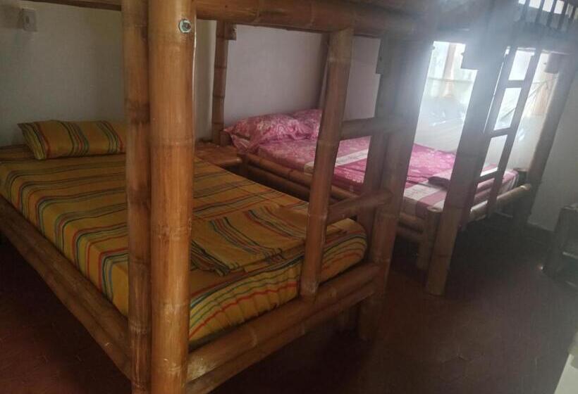 4인용 스탠다드 룸, Los Cocos Hostal