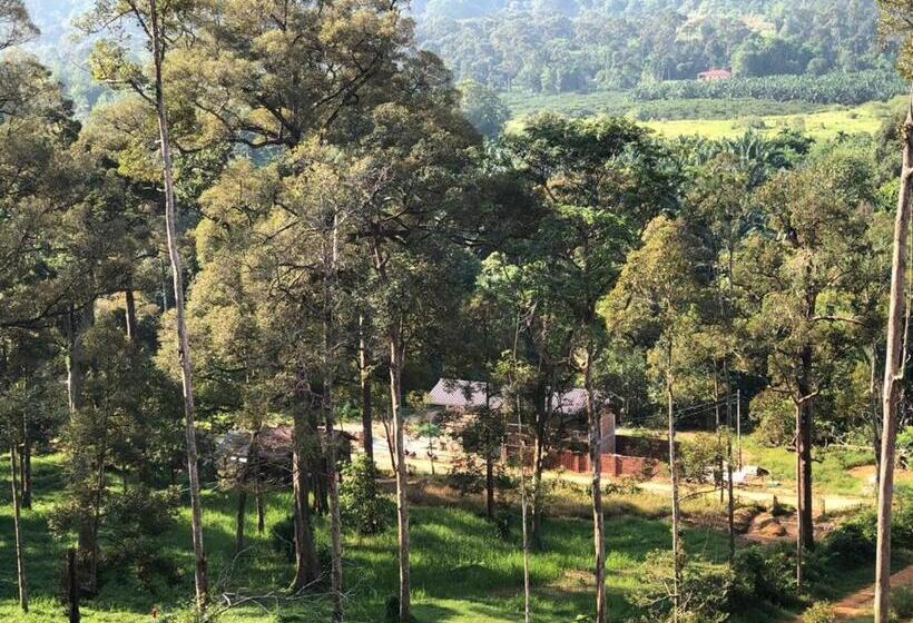 스탠다드 발코니 룸, Mydusun Chalet, Taiping, Perak, Malaysia