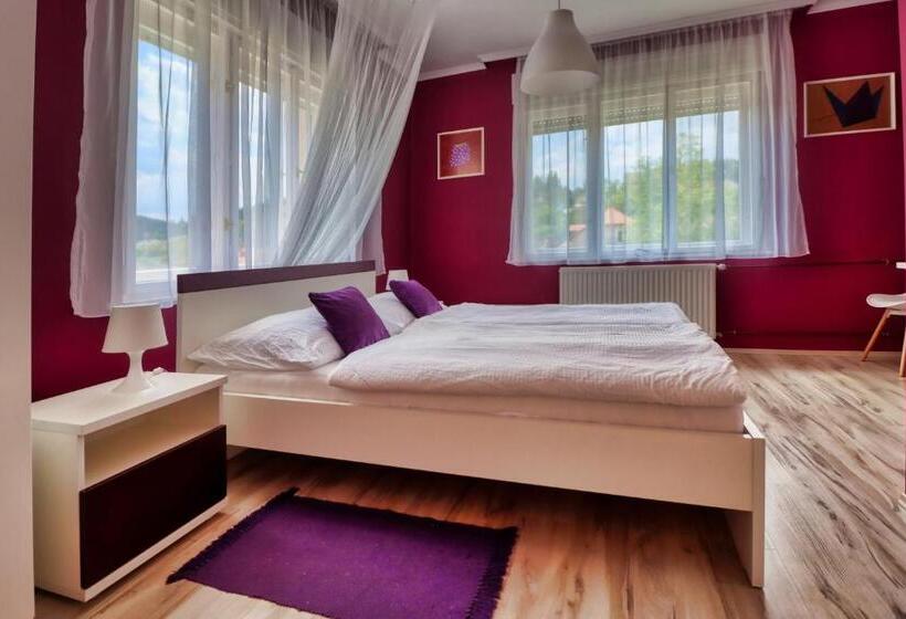 Номер Стандарт, Vincze Villa Vendégház