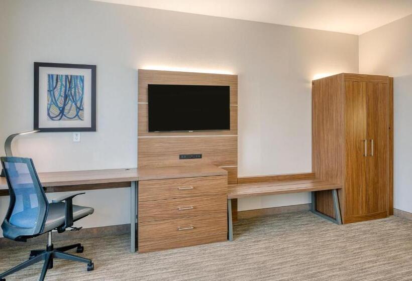 Номер Стандарт Адаптированный для Инвалидов, Holiday Inn Express Troy, An Ihg