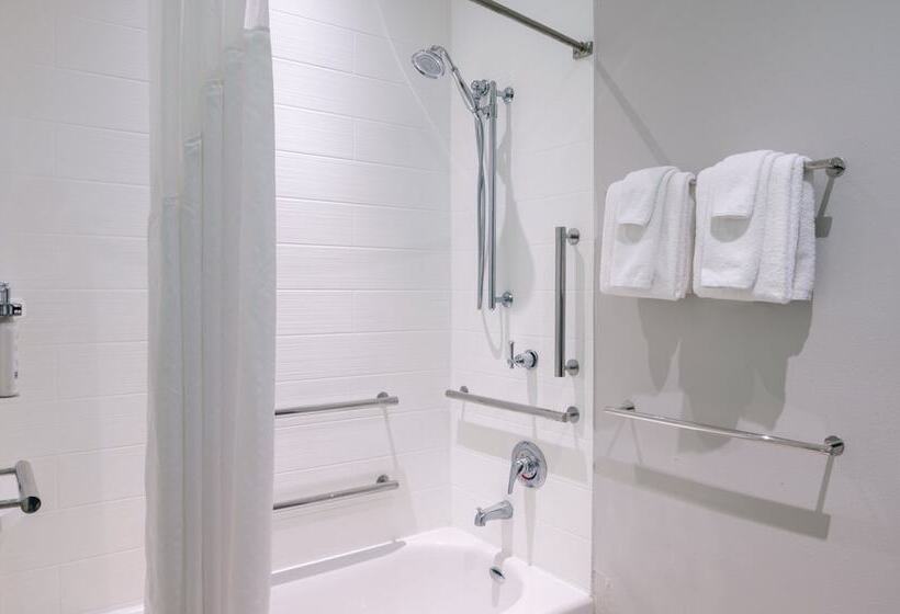 Люкс Адаптированный для Инвалидов, Holiday Inn Express Troy, An Ihg