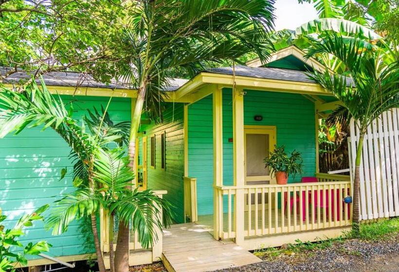 Apartamento 2 Dormitorios con Jardín, Puerta Azul