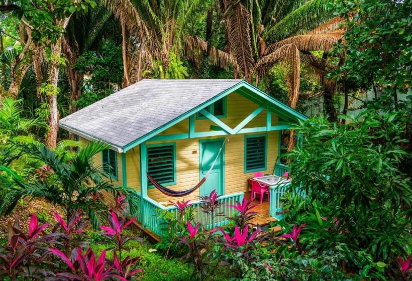 Habitación Estándar, Puerta Azul