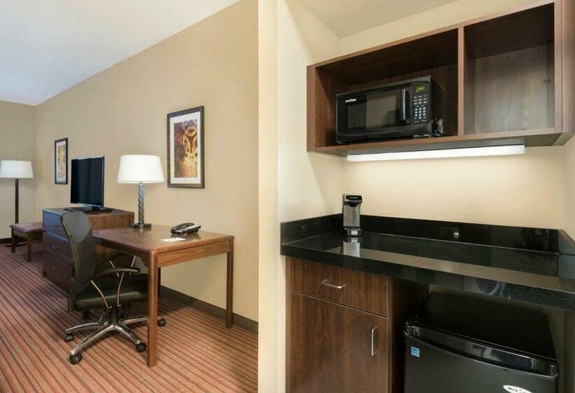 디럭스 룸, Best Western Plus Hudson Hotel & Suites