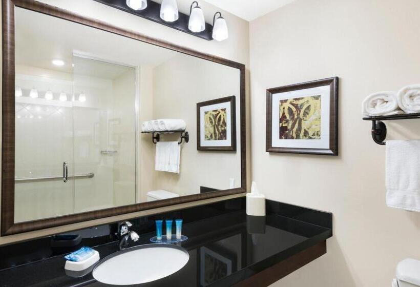 디럭스 스위트, Best Western Plus Hudson Hotel & Suites