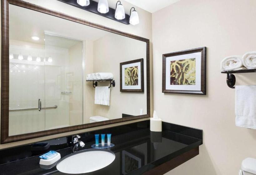 디럭스 스위트, Best Western Plus Hudson Hotel & Suites