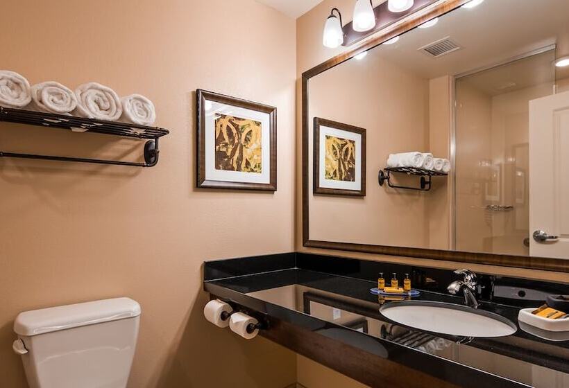 장애인을 위한 스위트, Best Western Plus Hudson Hotel & Suites