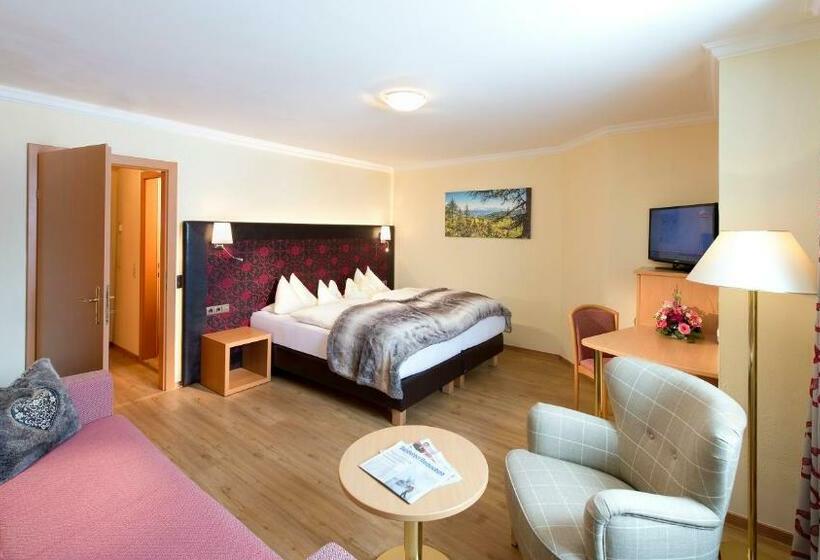 标准间, Zehnerkar & Hotel Obertauern
