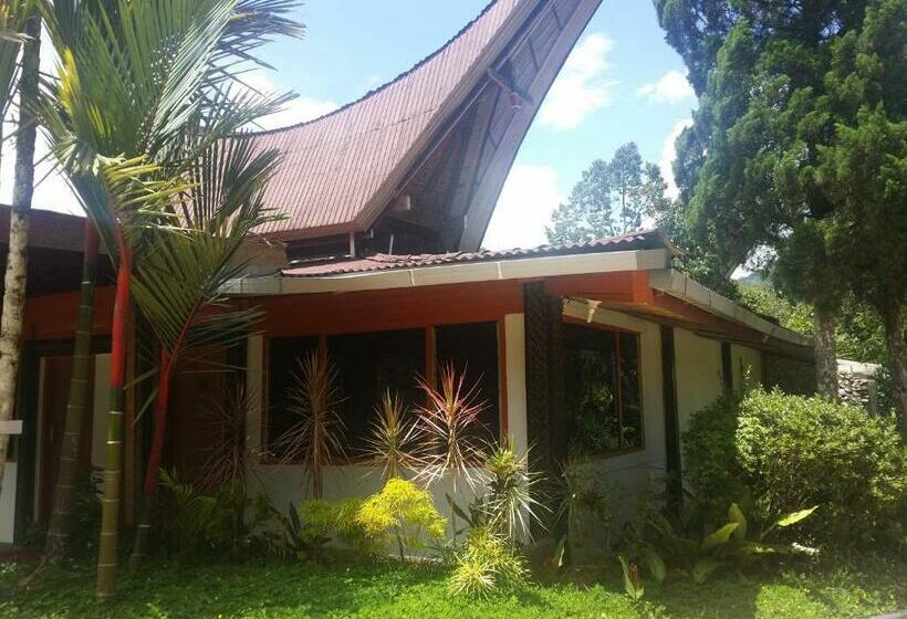 سوییت اجرایی, Toraja Misiliana