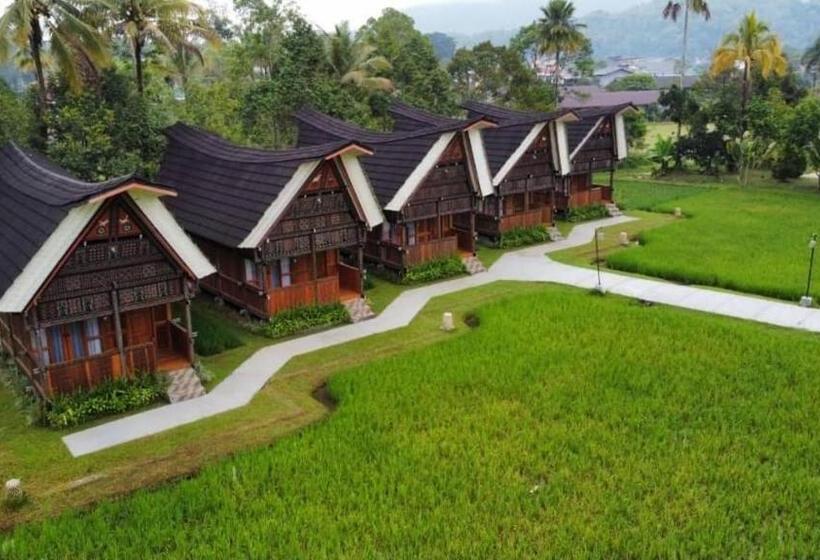 سوییت, Toraja Misiliana