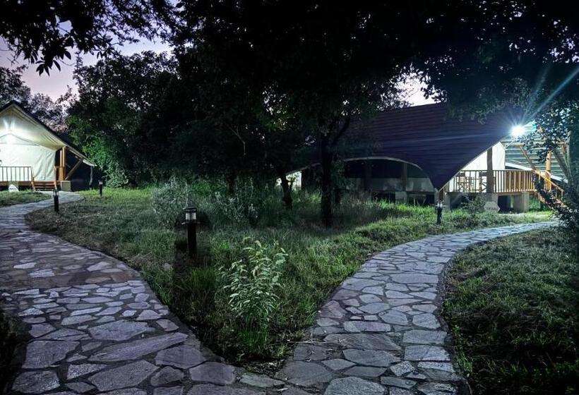 اتاق استاندارد با تراس, Mara Empiris Safari Camp