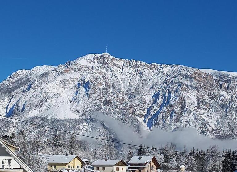 Номер Deluxe, Die Pension Galle