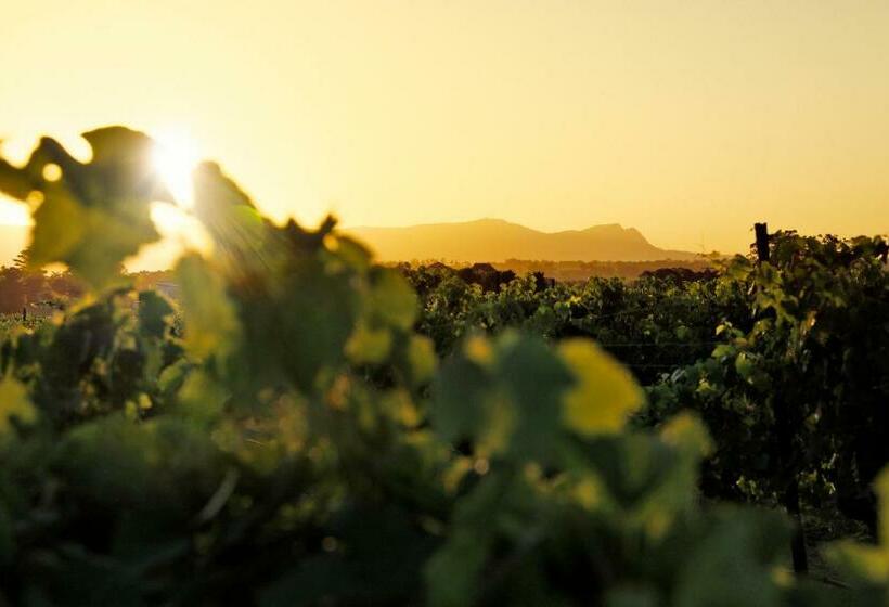 빌라 침실 1개, Adina Vineyard