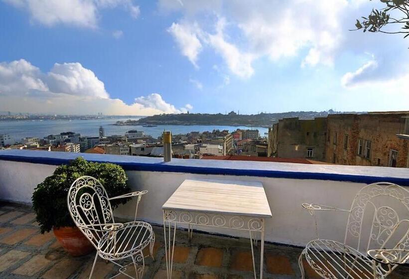 استودیوی استاندارد با چشم‌انداز دریا, Entire Apartment With Amazing Seaview Terrace Near Galata Tower