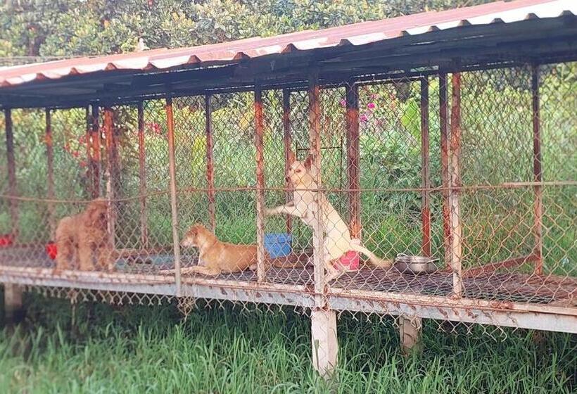 اتاق استاندارد, Cần Thơ Farmstay