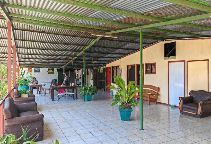 تختخواب در اتاق مشترک, Hostel Y Cabinas Yilmer