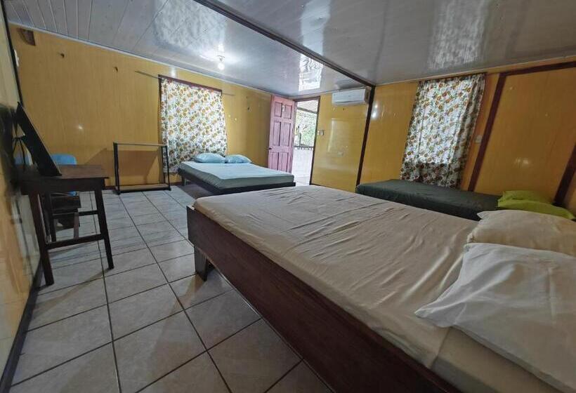 تختخواب در اتاق مشترک, Hostel Y Cabinas Yilmer