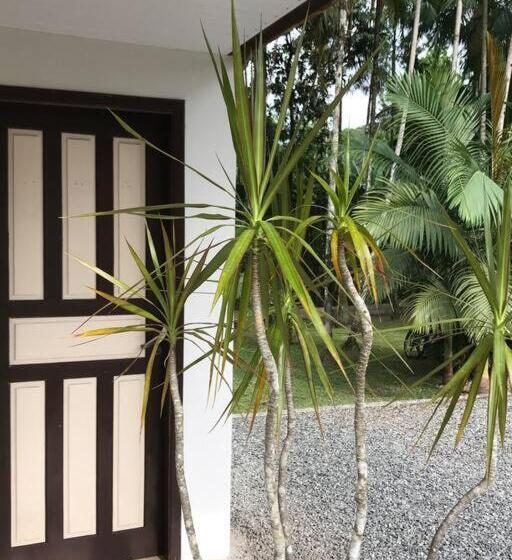 Family Suite, Microcasa Completa No Centro