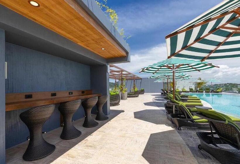 آپارتمان 1 خوابه با چشم‌انداز دریا, Appartements Avec Piscine