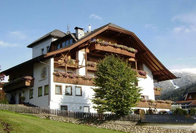 Номер Стандарт, Pension Schifferegger