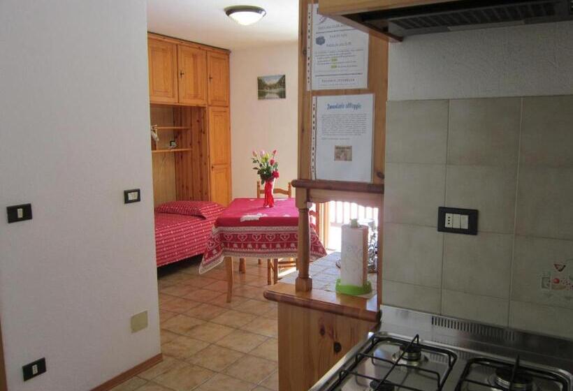 آپارتمان 1 خوابه, Residence Delapierre