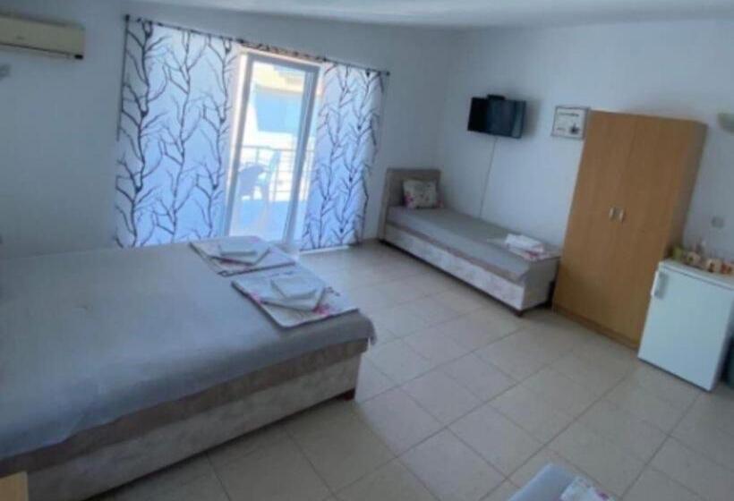 استودیو استاندارد با بالکن, Apartmani Ariana