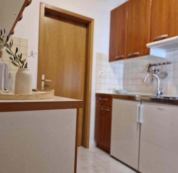 آپارتمان 1 خوابه با چشم‌انداز دریا, House Olive Garden Strunjan