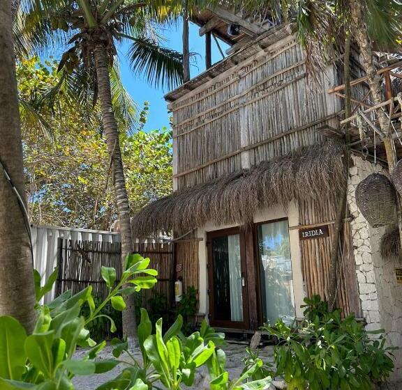 Quarto Estandar, Alquimia Hotel Boutique