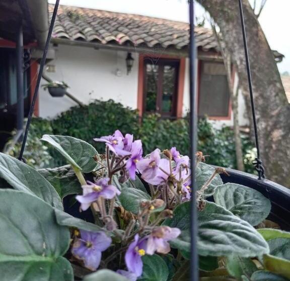 سوییت, Boutique Casabella