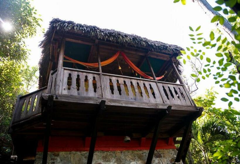スタンダードルーム, El Copal