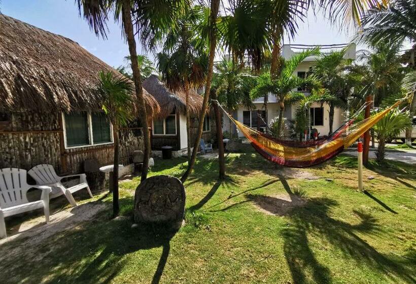 スタンダードバンガロー, Las Cabañas Del Doctor