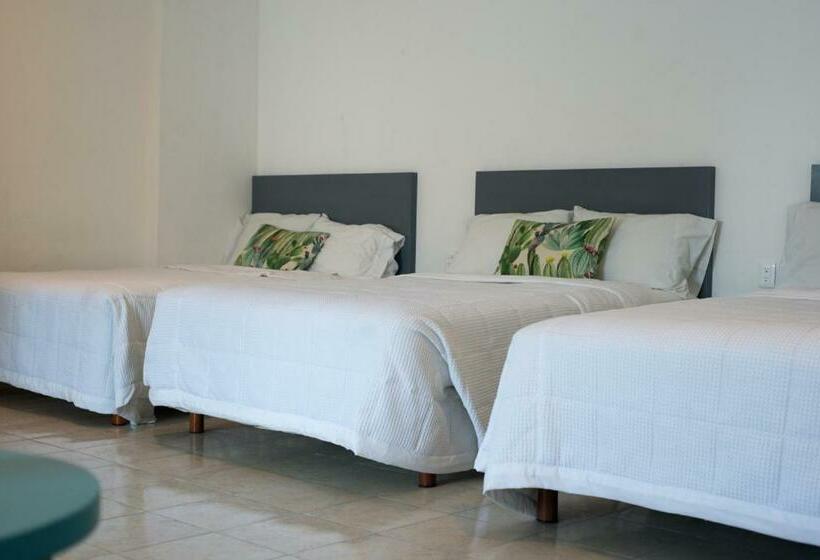 ファミリールーム, & Suites Arges  Centro Chetumal