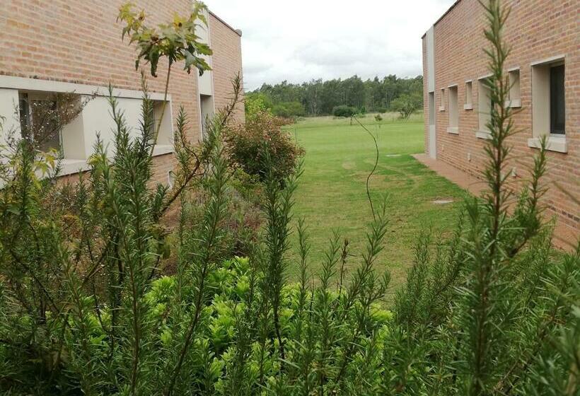 اتاق سوپریور, Juana De Ibarbourou