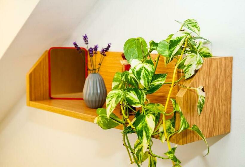 חדר סטנדרט חדר אמבטיה משותף, Turisticka Ubytovna Cakle