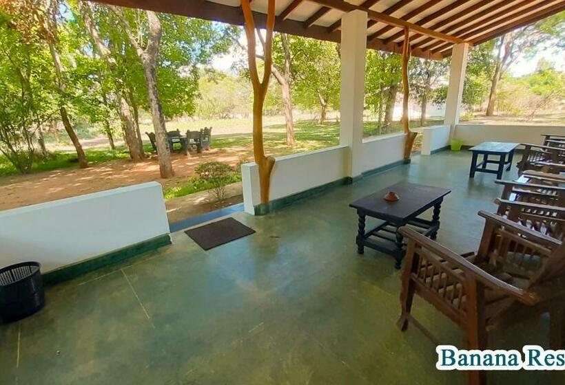 اتاق استاندارد سه نفره, Banana Rest Sigiriya