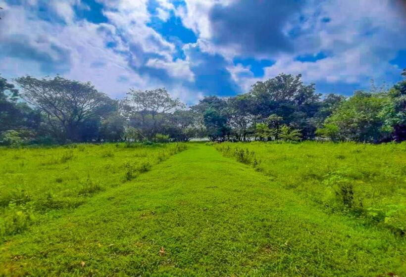 اتاق لوکس, Banana Rest Sigiriya