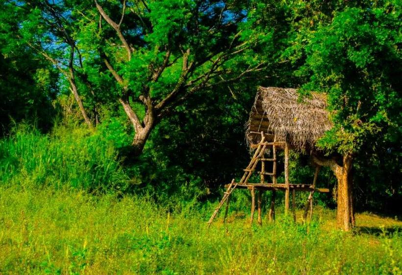 اتاق استاندارد سه نفره, Banana Rest Sigiriya