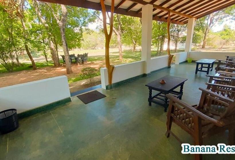 اتاق اکونومی, Banana Rest Sigiriya