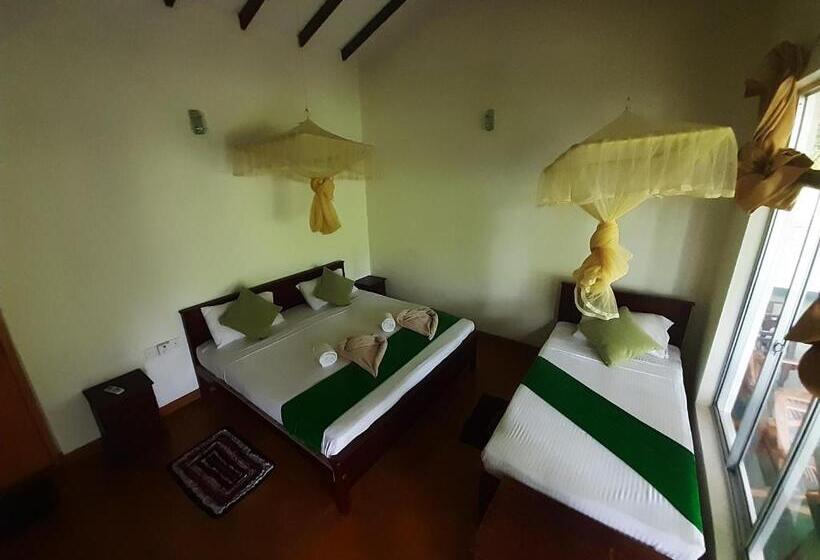 اتاق استاندارد سه نفره, Banana Rest Sigiriya