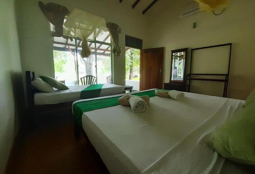 اتاق استاندارد سه نفره, Banana Rest Sigiriya