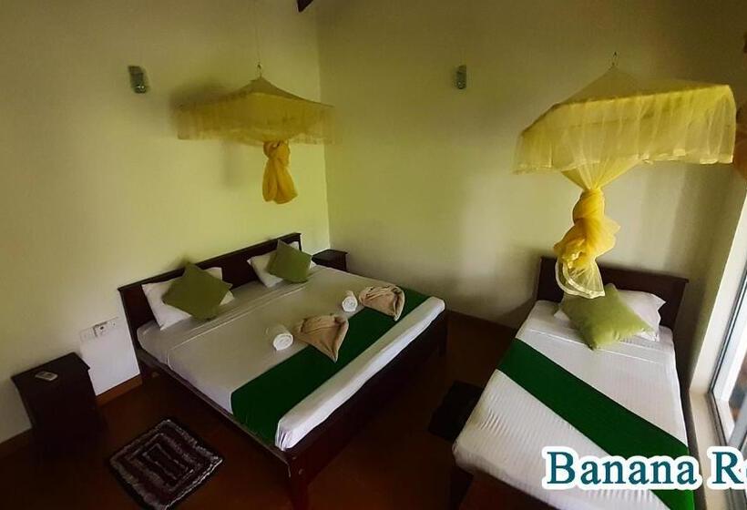 اتاق استاندارد سه نفره, Banana Rest Sigiriya