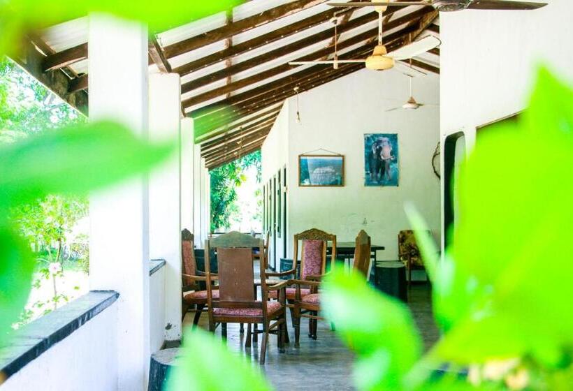 اتاق اکونومی, Banana Rest Sigiriya