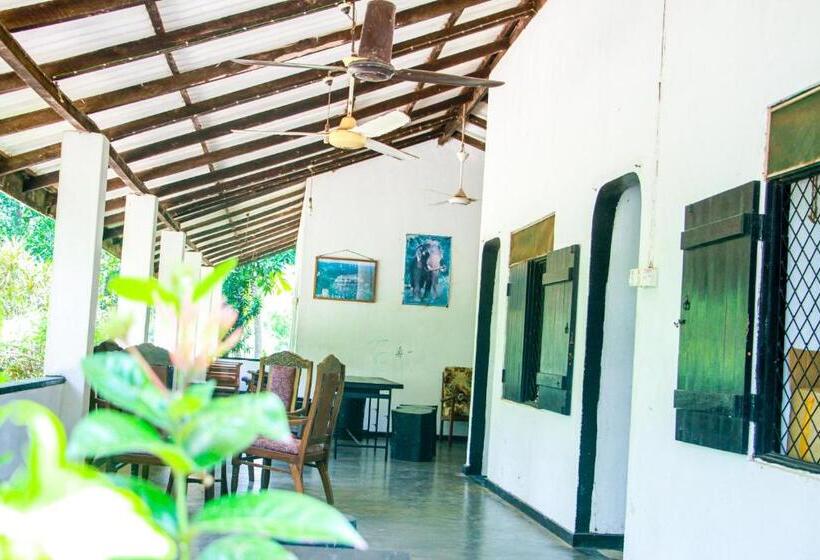 اتاق اکونومی, Banana Rest Sigiriya